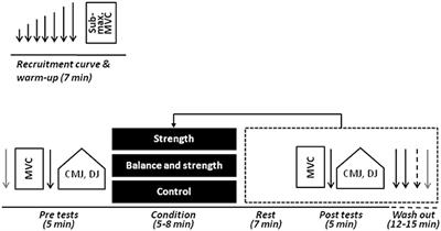 Postactivation Potentiation of the Plantar Flexors Does Not Directly Translate to Jump Performance in Female Elite Young Soccer Players